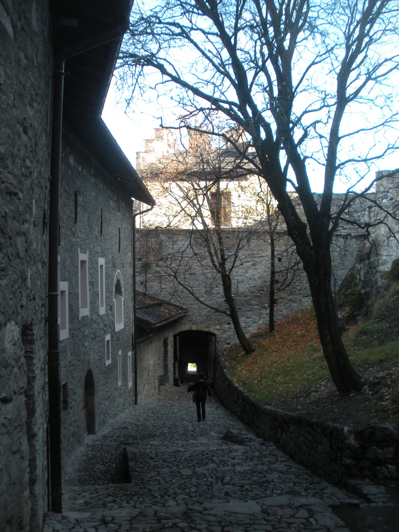DSCN4526