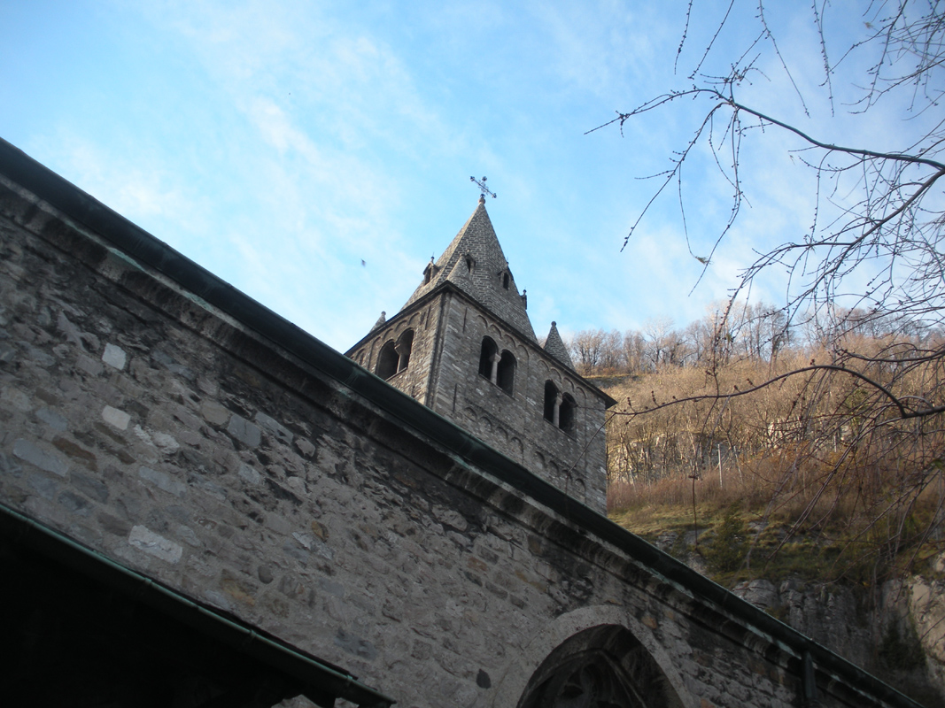 DSCN4603