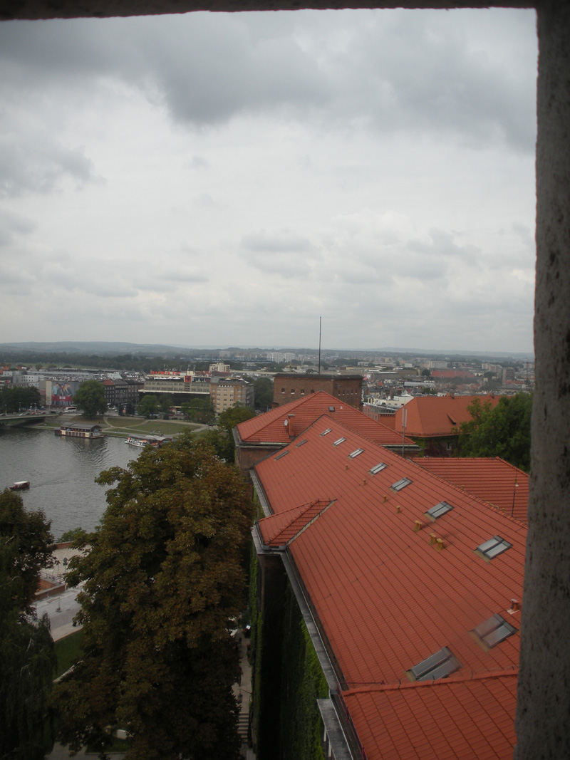DSCN9353