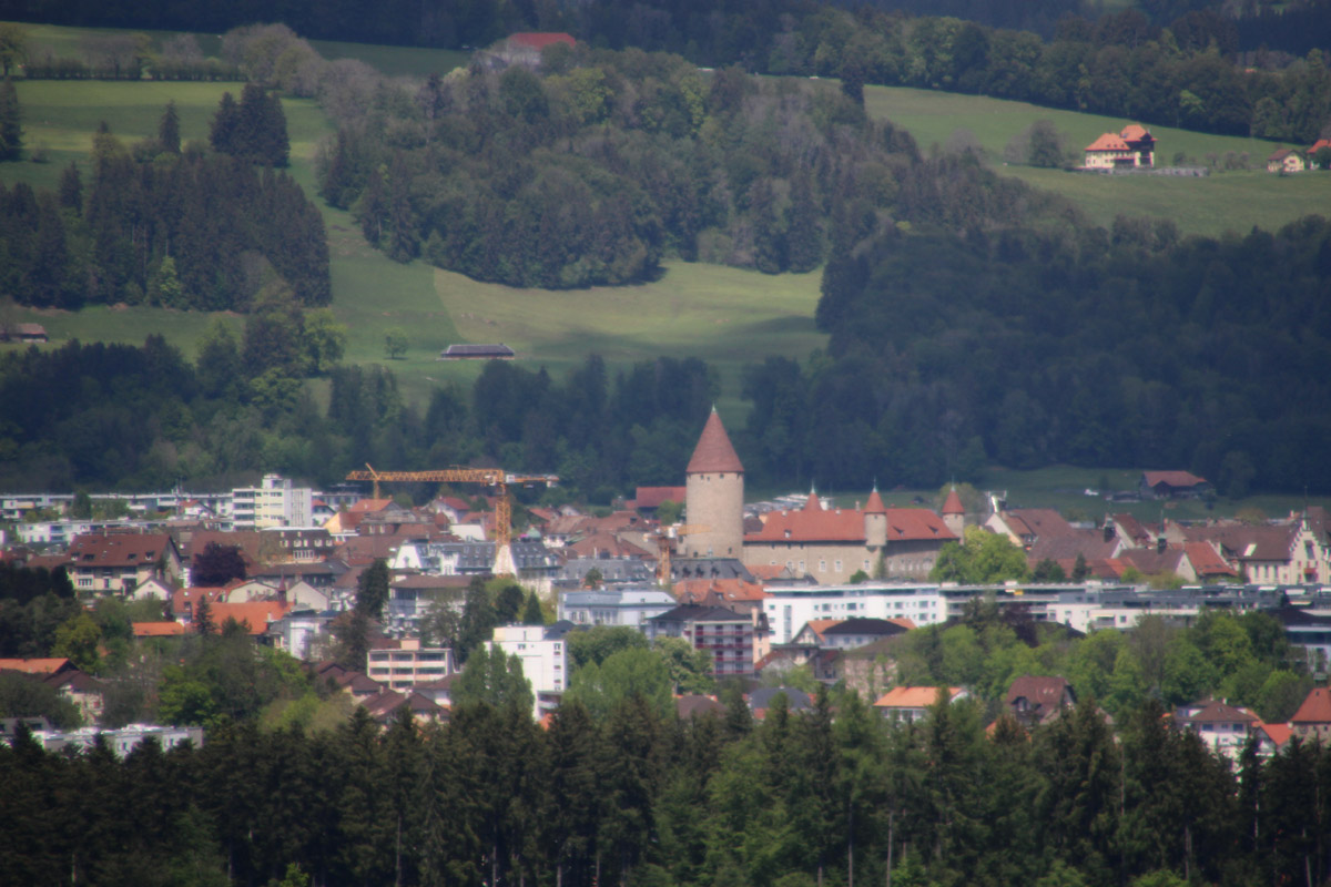 IMG_5479