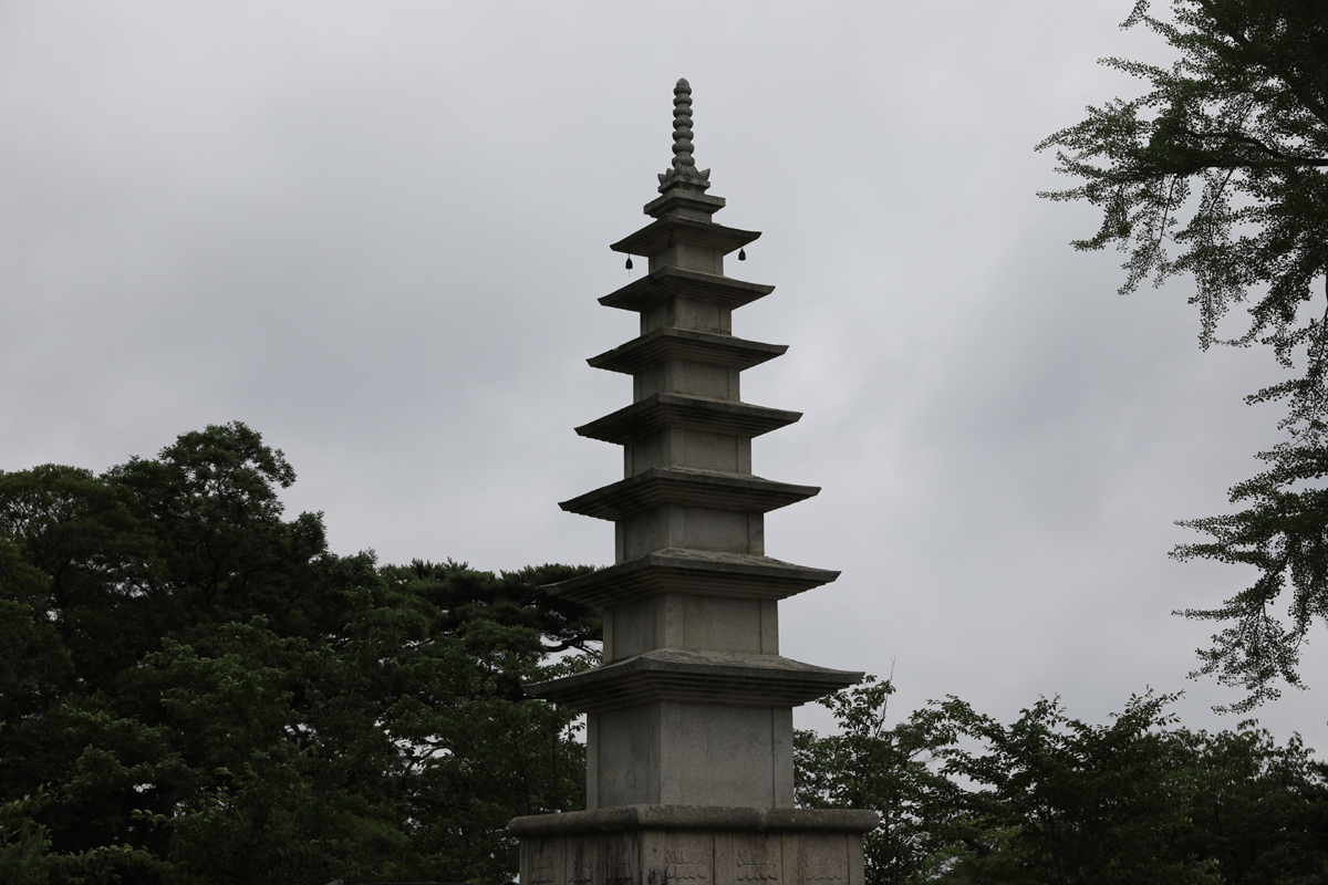 1X7A8401